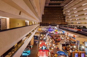 Planning a Walt Disney World family vacation? Contact Brenda Ajay at Magic Family Travel for tips and advice and a no obligation price quote